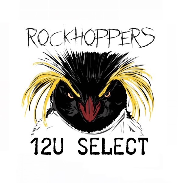 Rockhoppers Football 12u Premier (RHP) 2024-NEYT
