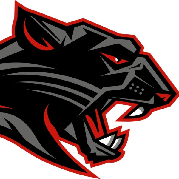 Flagstaff Panthers 12U