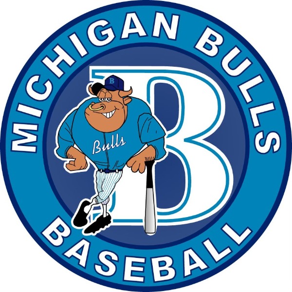 Michigan Bulls 11u