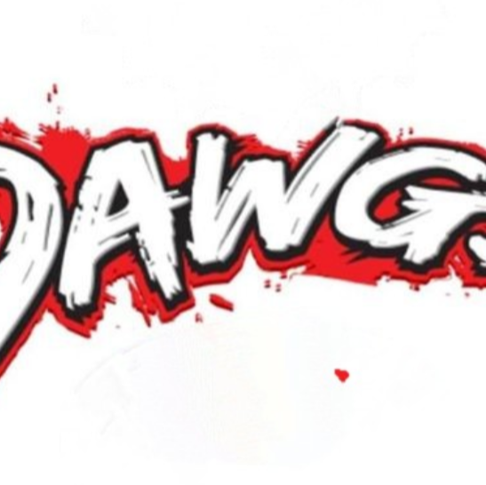 $iN CiTY DAWG'S 13U S25