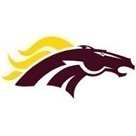 Madison Academy 6U Flag