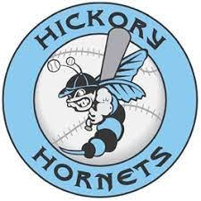 Hickory Hornets Blue 10U