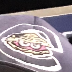 Carolina Spittin' Oysters