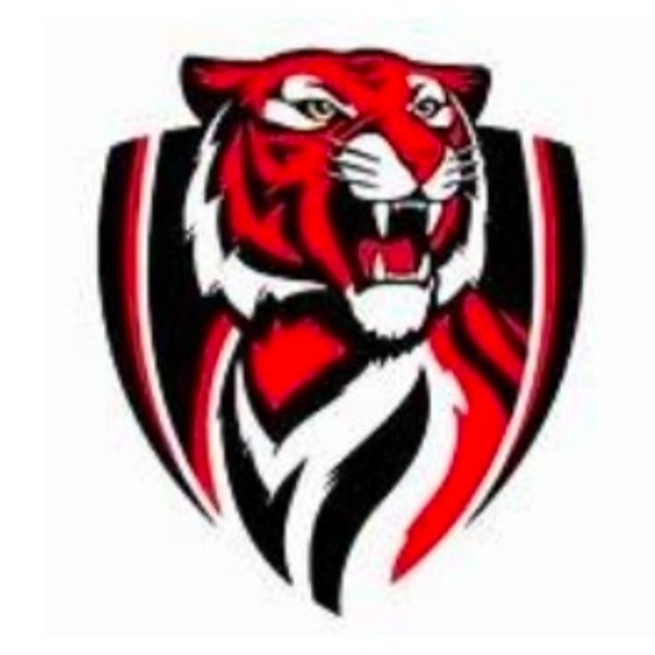 GREEN FOREST TIGERS U12