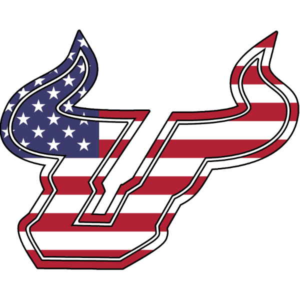 Bulls Baseball Lybarger