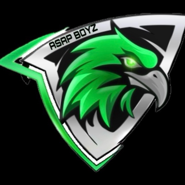 Midwest Hawks 10U (ASAP BOYZ)