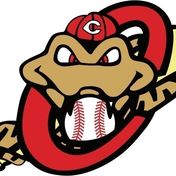 5 Star Copperheads - Black