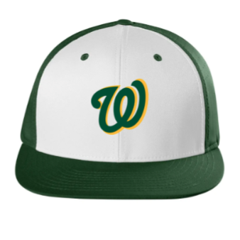 Warrior Travel Baseball 12U