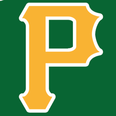 Three Village 10U Patriots Gold team