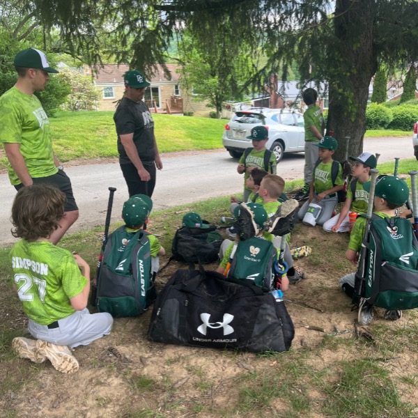 Pine Richland Rams White