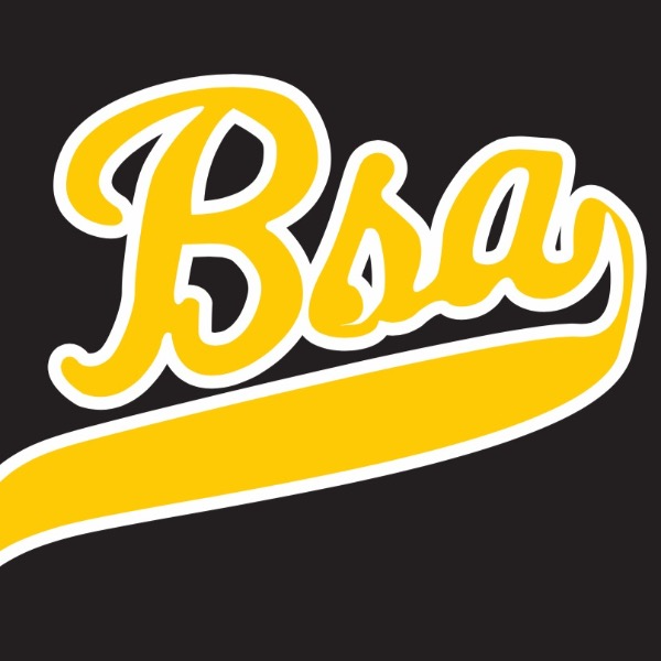 Brooklyn Sluggers Academy 14u