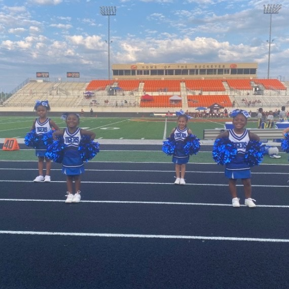 Daingerfield Tigers Cheer Flag