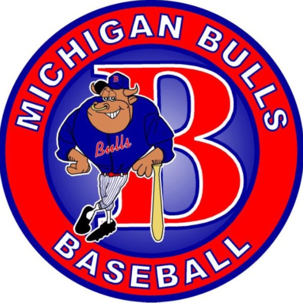 Michigan Bulls 9u