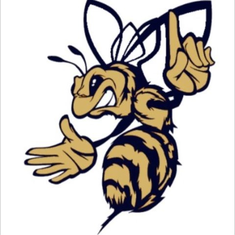 Mountain State Stingers 9U