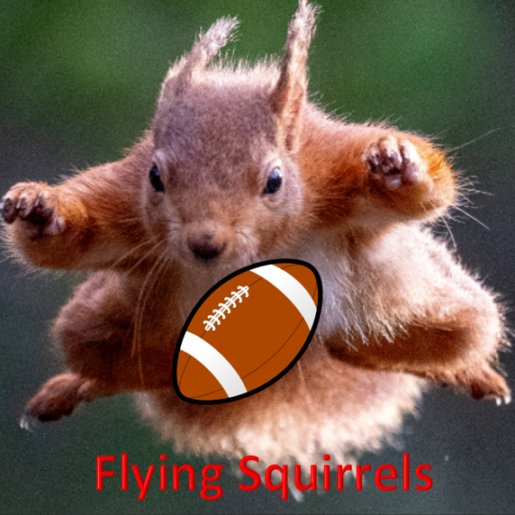 Flying Squirrels