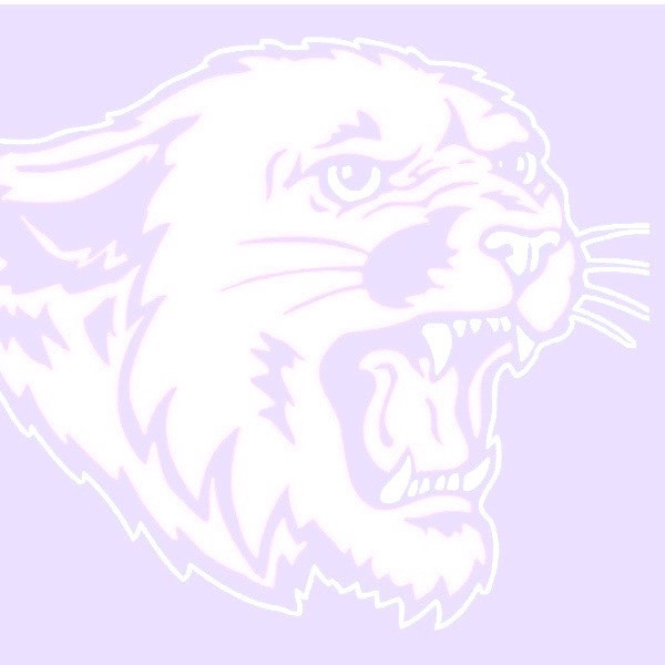 LPGBA Lady Panthers 2021