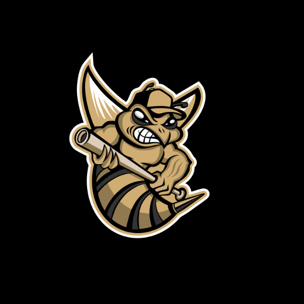 Middle Tennessee Stingers