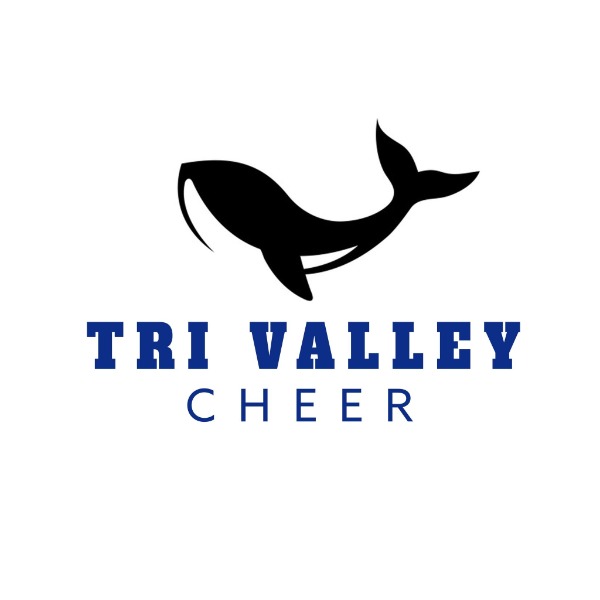 Tri Valley Cheer D14