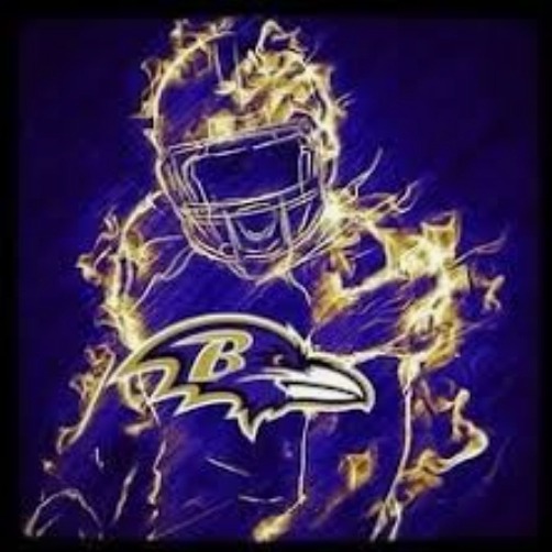 Boston Ravens 15u (BRF) 2024-NEYT