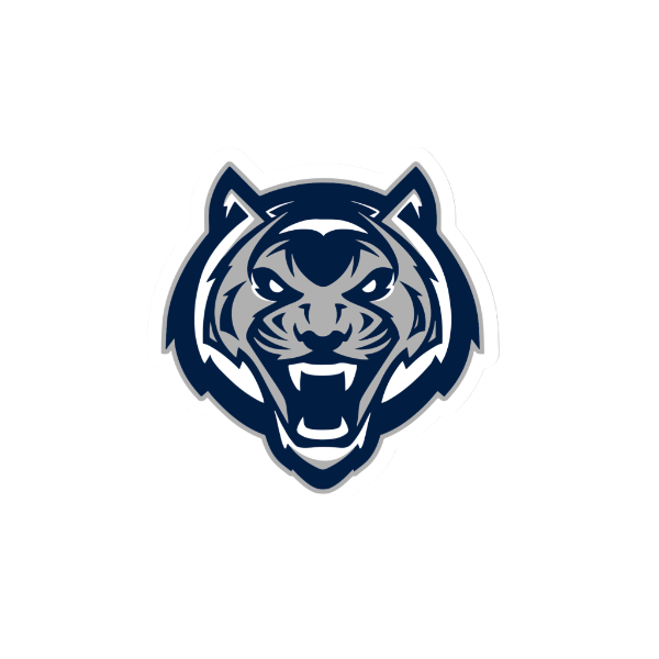 Twinsburg Tigers