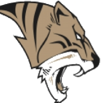 Ardmore Tigers 6u Gold Flag Team # 2