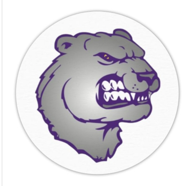 Jackson Bears 14U Gold