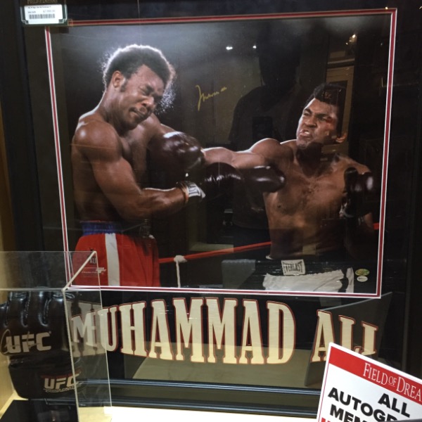 Sarasota Seminoles 12u