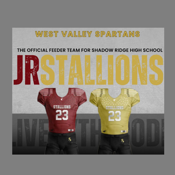 JR Stallions 8th Grade (13/14U)