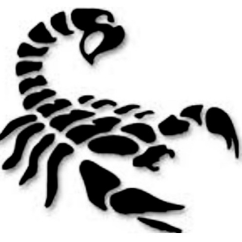 Scorpions Team Easton White