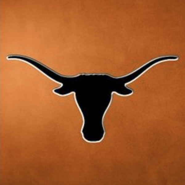 Texas Black Knights / TEXAS ELITE 13U