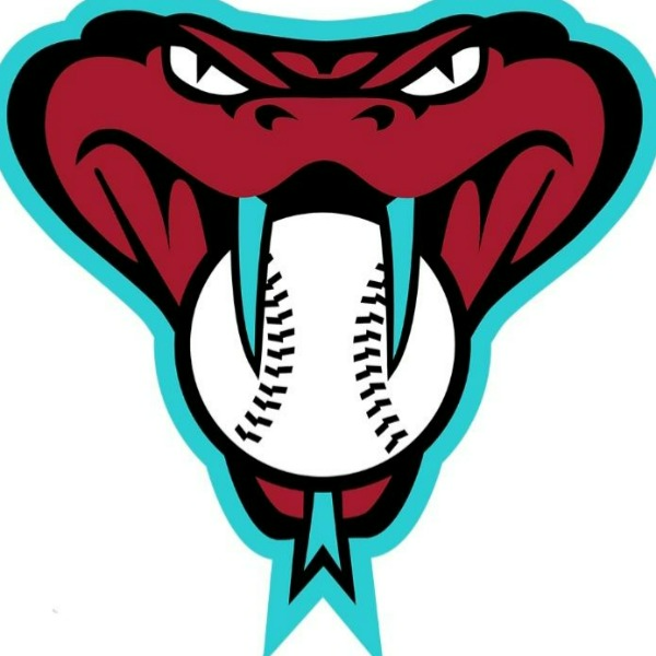 Davie Diamondback Chiefs