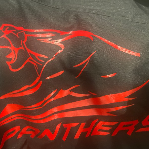 Flagstaff Panthers 7U