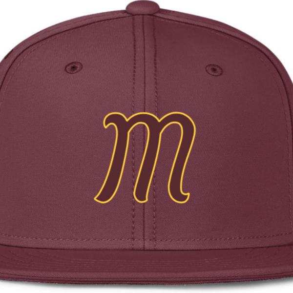 Madison Dodgers Gold 11u 2024