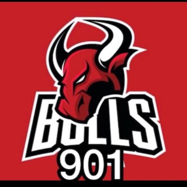 901 Bulls 2029