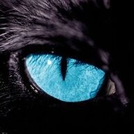 Flight Zone Panthers