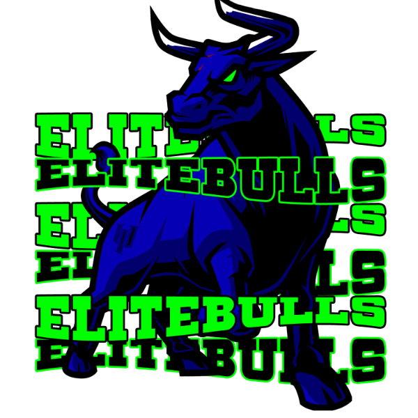 IronHole University Bulls 12u