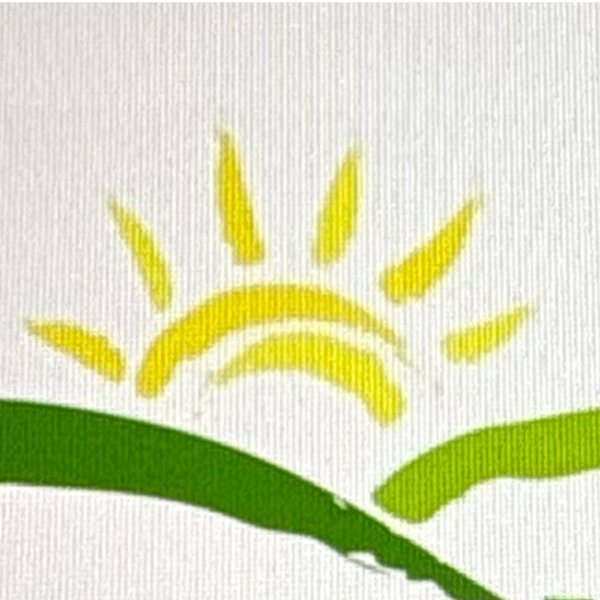 Montessori Visions A (Hamilton) ES K-1 Coed Rec Soccer