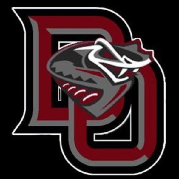 Jr. Diamondbacks 13U F23