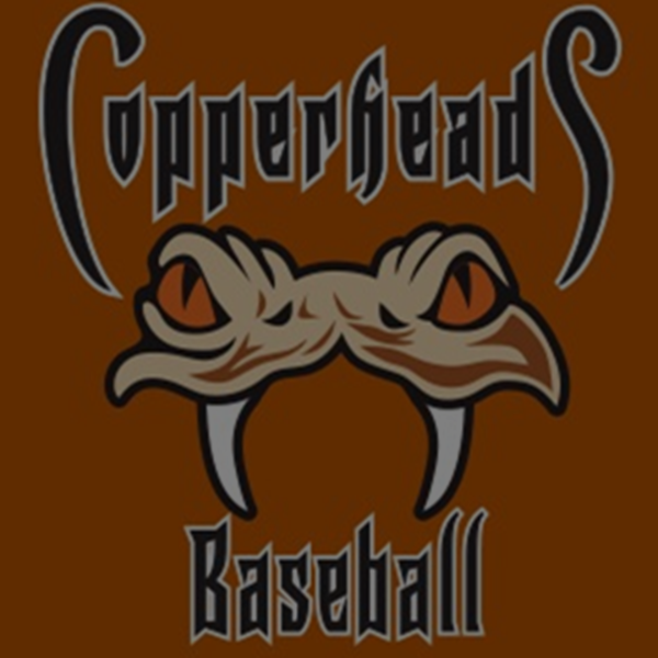 10U Falls Church Copperheads