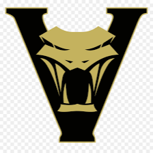 JrVipers Gold Team 13U