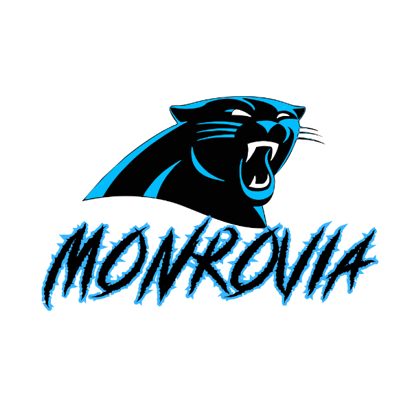 Monrovia Flag-Silver