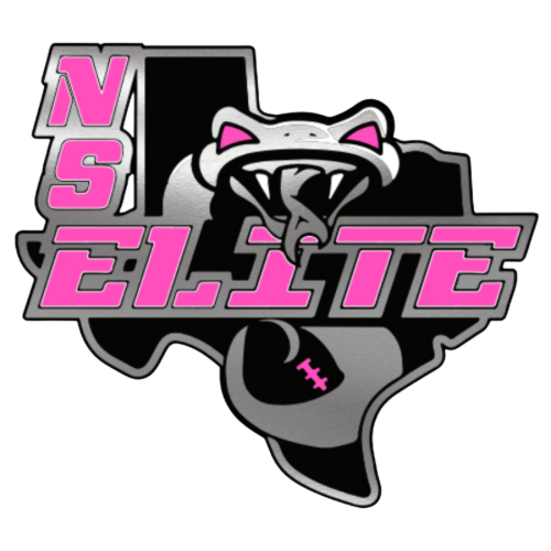 NS Elite Vipers High School