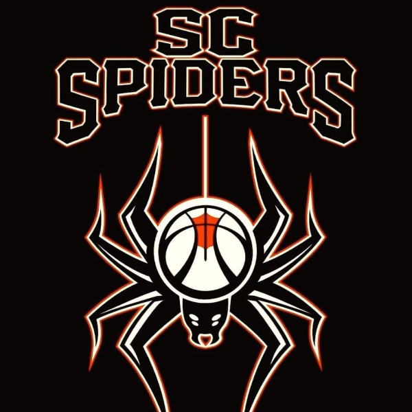 South Carolina Spiders