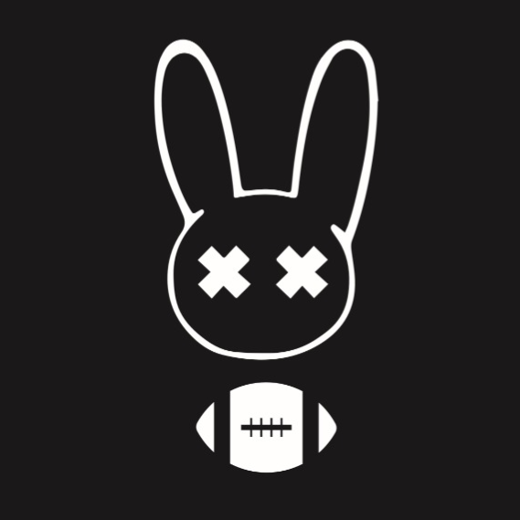 BAD RABBITS SELECT 14U GIRLS