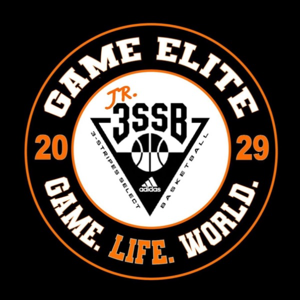Game Elite 3SSB 2029