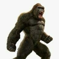 Maricopa RAMPAGE 13U