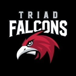 Triad Falcons 14U