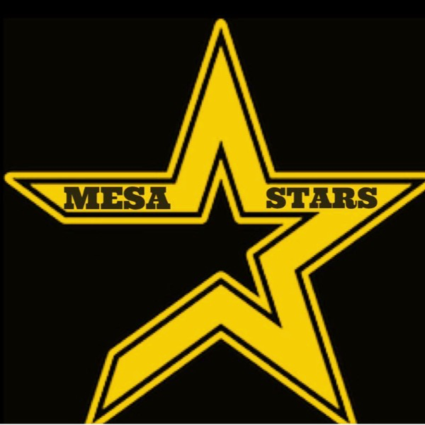 13U MESA STARS