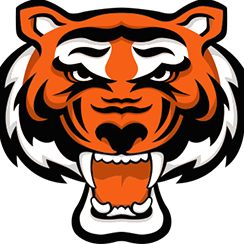 Rawlings Tigers- Chicago