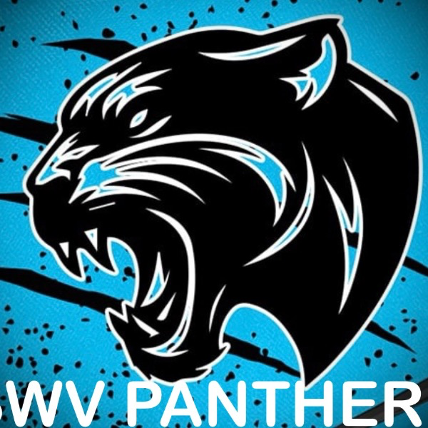 SWV PANTHERS 12U